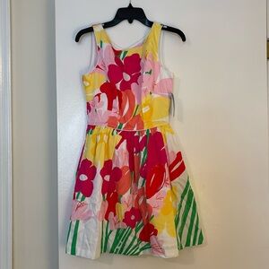 NWT Lilly Pulitzer Aleesa Dress - Size 4